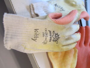 PBM handschoenen